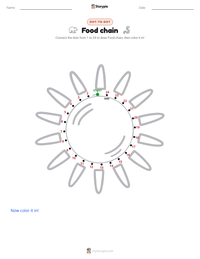 Food chain printable worksheet preview