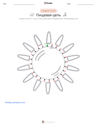 Пищевая цепь предварительный просмотр распечатываемого рабочего листа