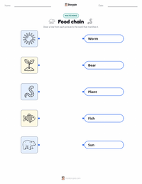 Food chain printable worksheet preview