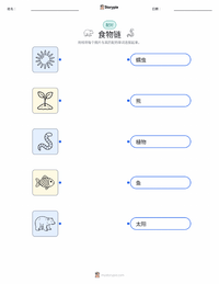 食物链 可打印工作表预览