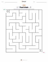 Food chain printable worksheet preview