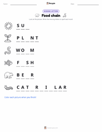 Food chain printable worksheet preview