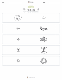 먹이 사슬 인쇄 가능한 워크시트 미리보기