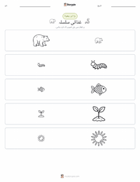 غذائی زنجیر پرنٹ کرنے کے قابل ورکشیٹ کا پیش نظارہ
