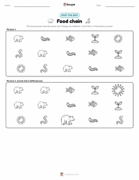 Food chain printable worksheet preview