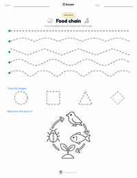 Food chain printable worksheet preview