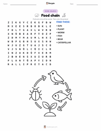 Food chain printable worksheet preview