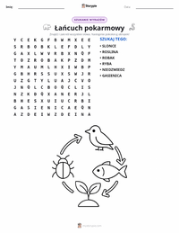 Podgląd drukowalnego arkusza ćwiczeń Łańcuch pokarmowy