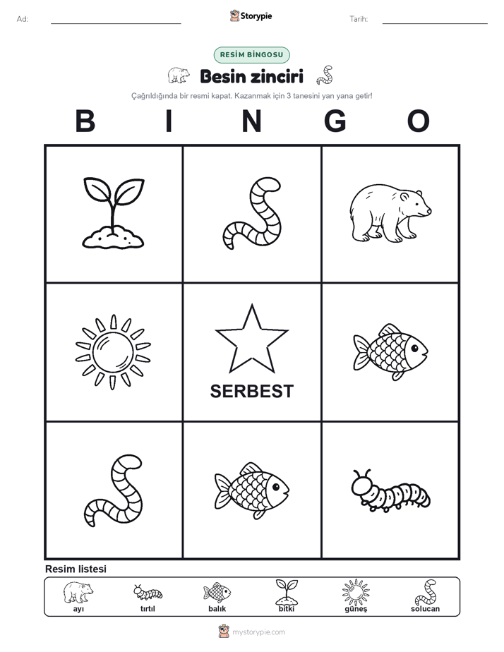 Resim Bingo