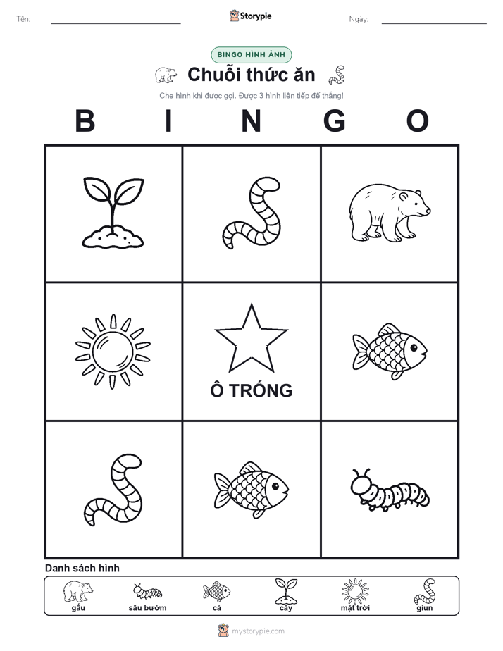 Bingo Hình Ảnh