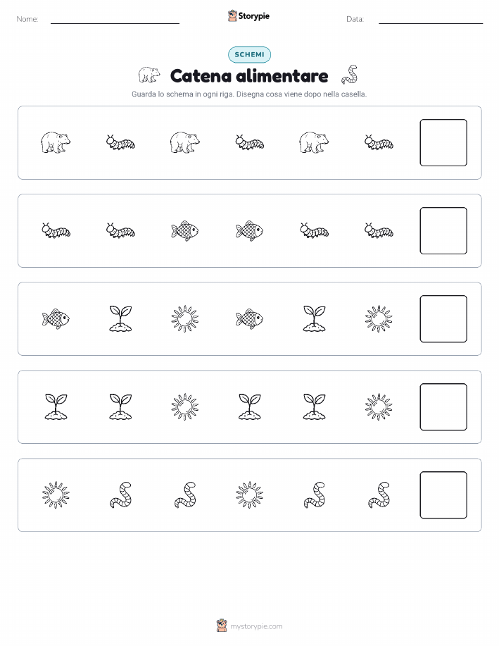 Pattern