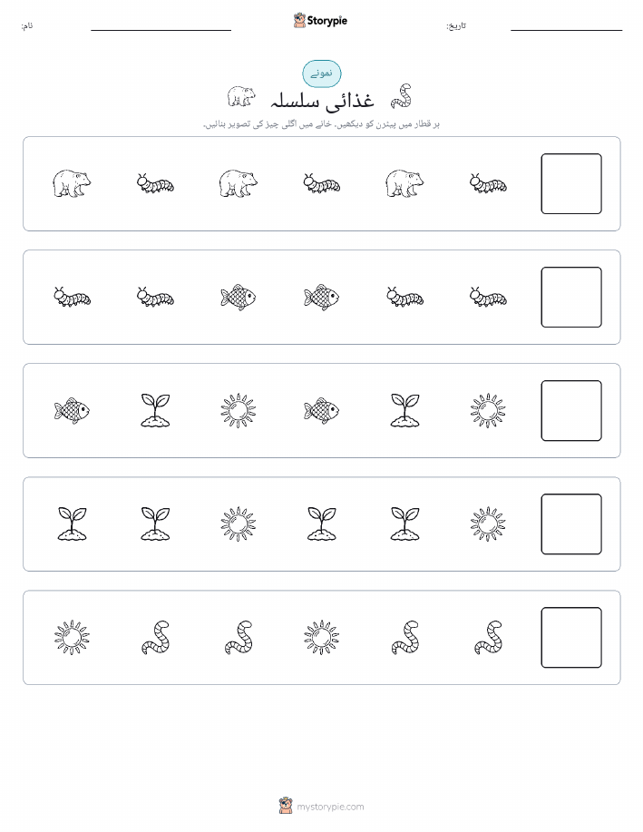 پیٹرن