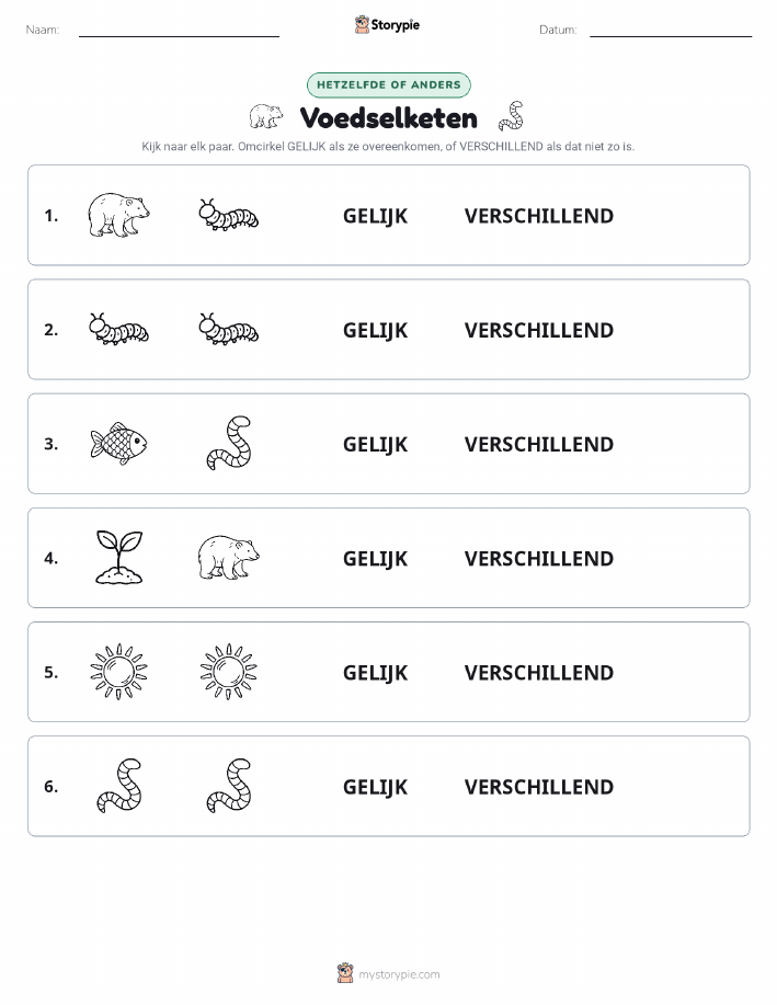 Zelfde of Verschillend