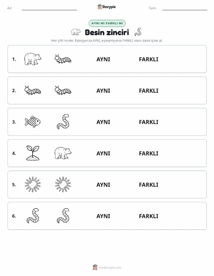 Aynı mı Farklı mı