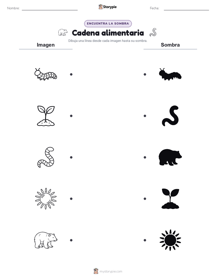 Coincidencia de Sombras