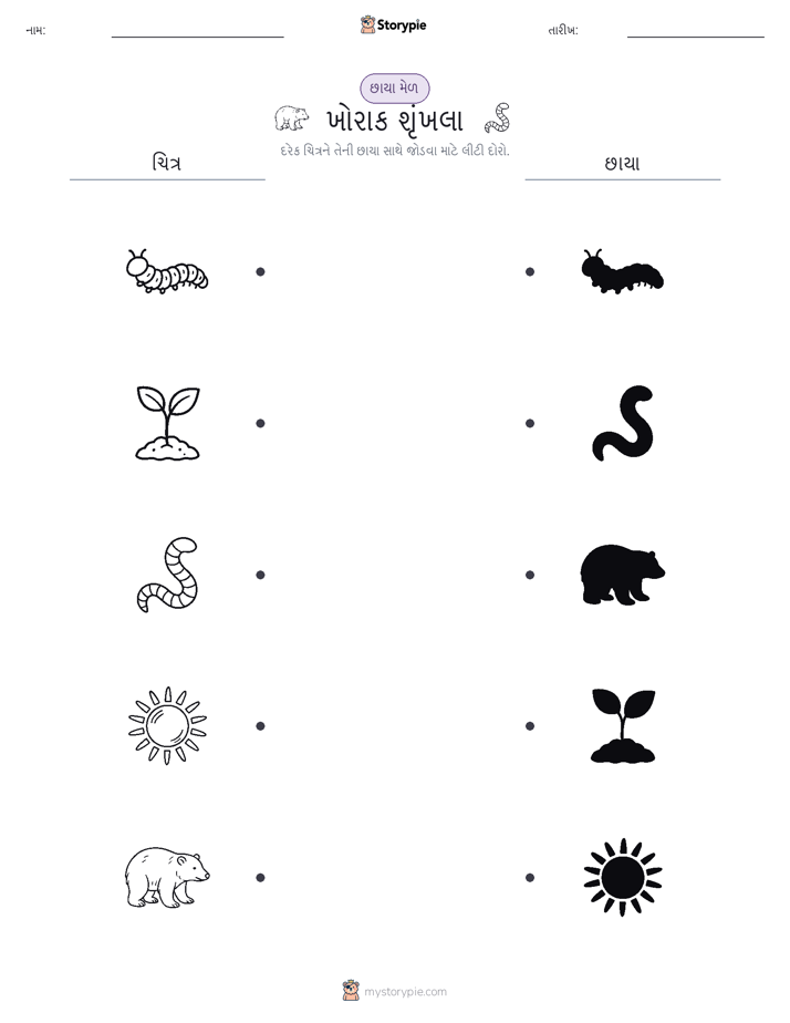 શેડો મેચ