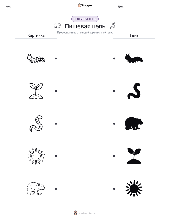 Сопоставление теней