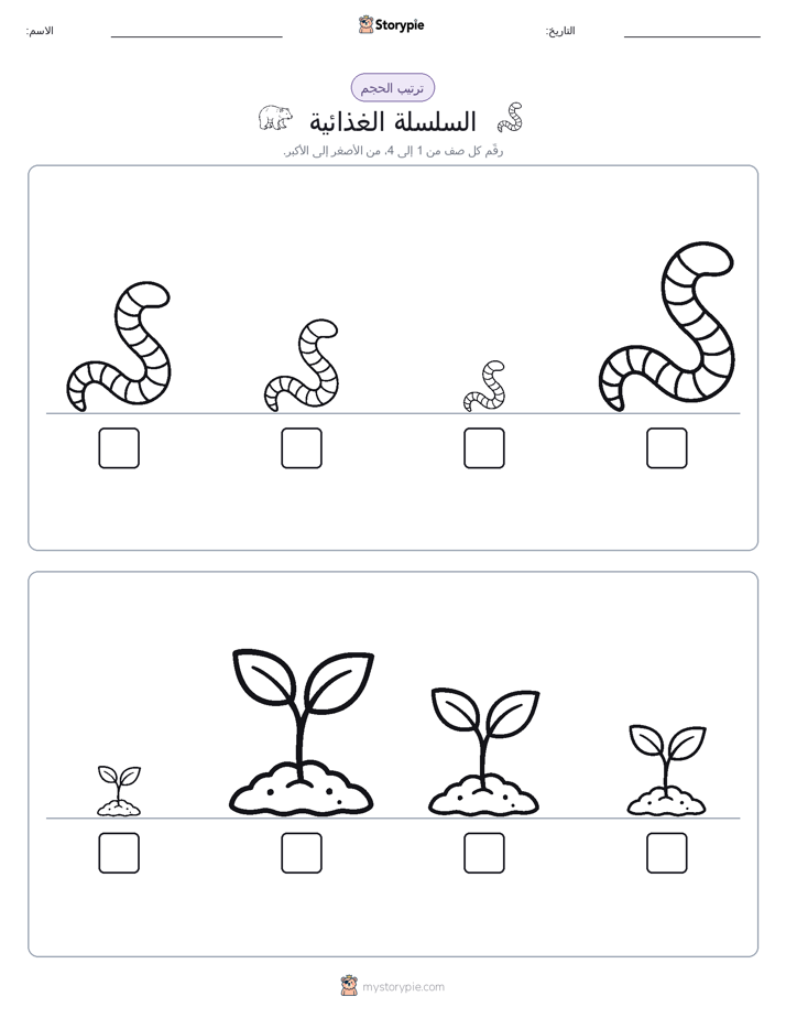 ترتيب الحجم