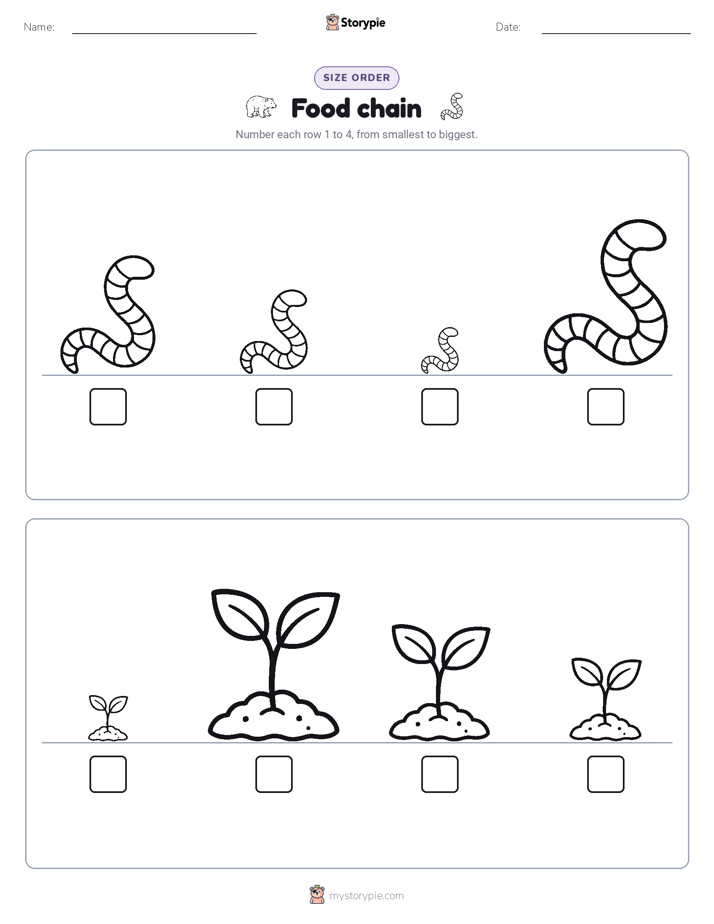 Size Order