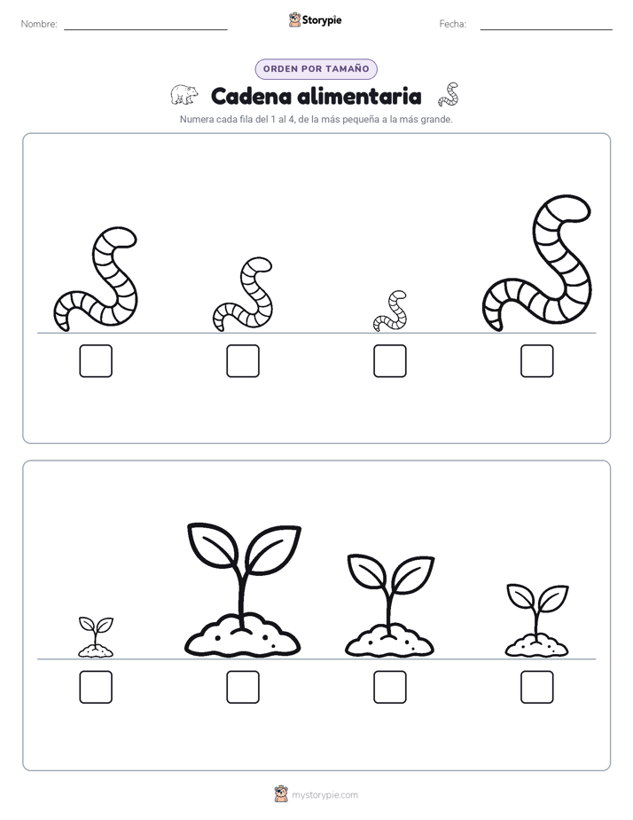 Orden de Tamaños