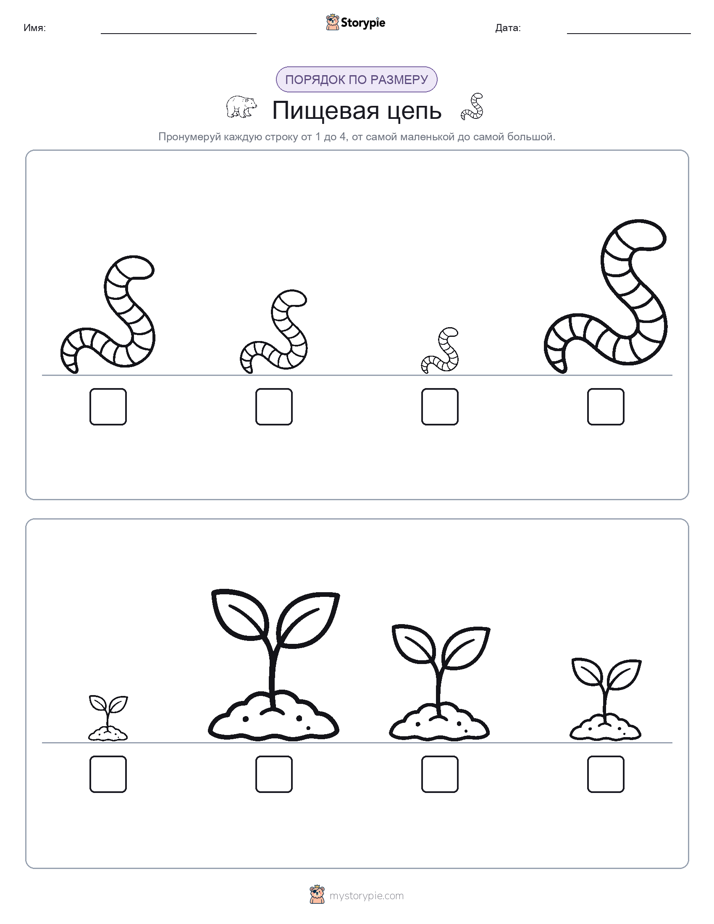Размеры в порядке