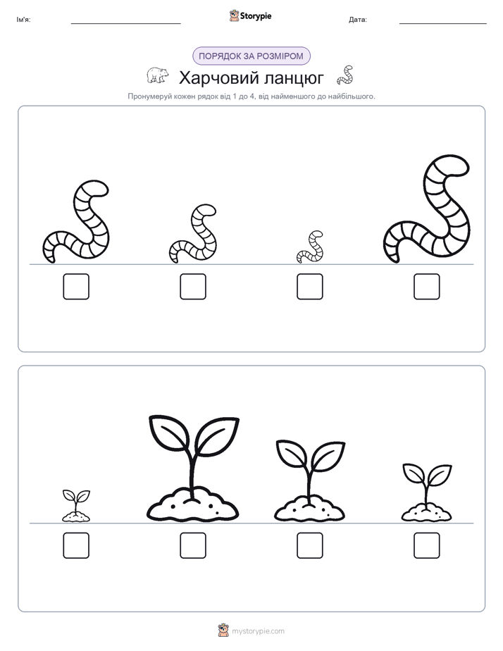 Порядок Розміру