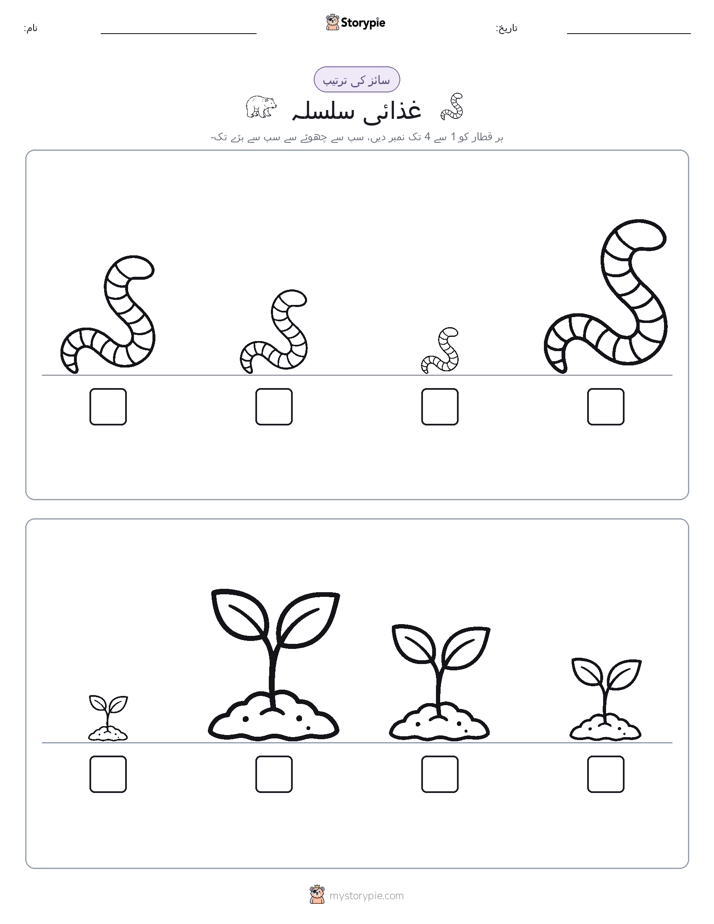 سائز کی ترتیب