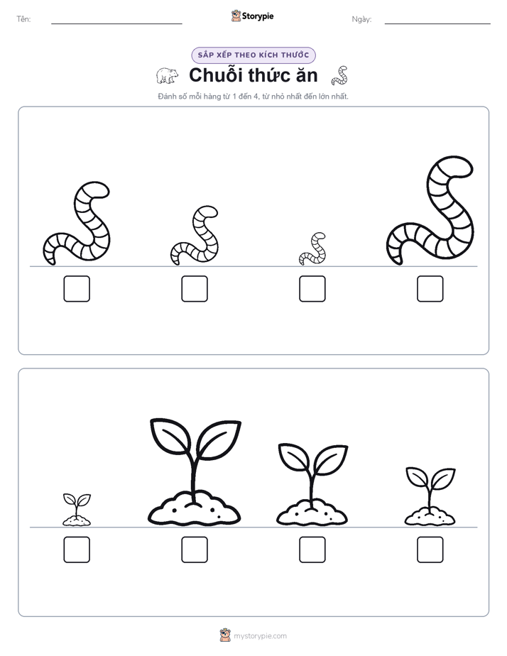Thứ Tự Kích Thước