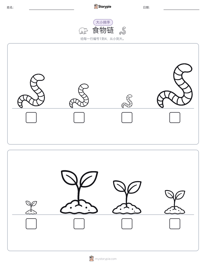 大小排序