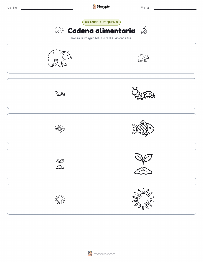 Clasificación