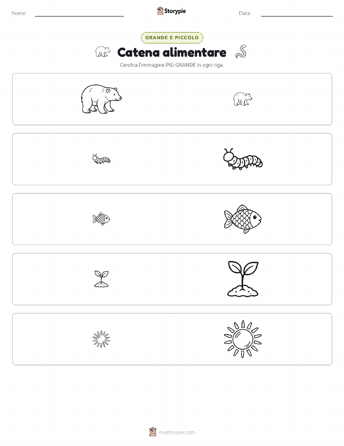 Ordinamento