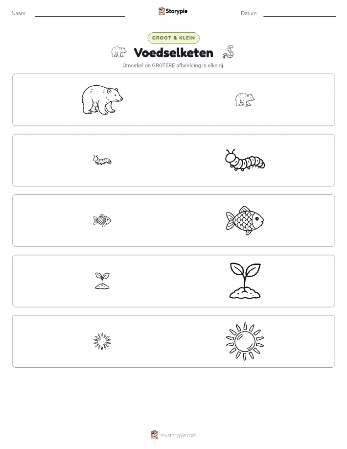 Sorteren
