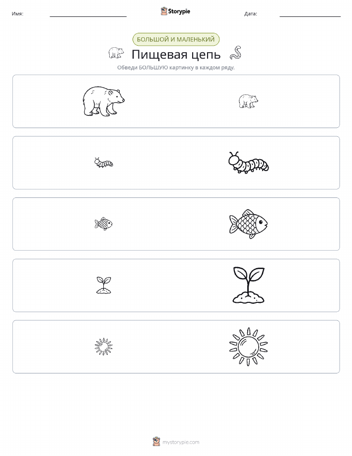 Сортировка