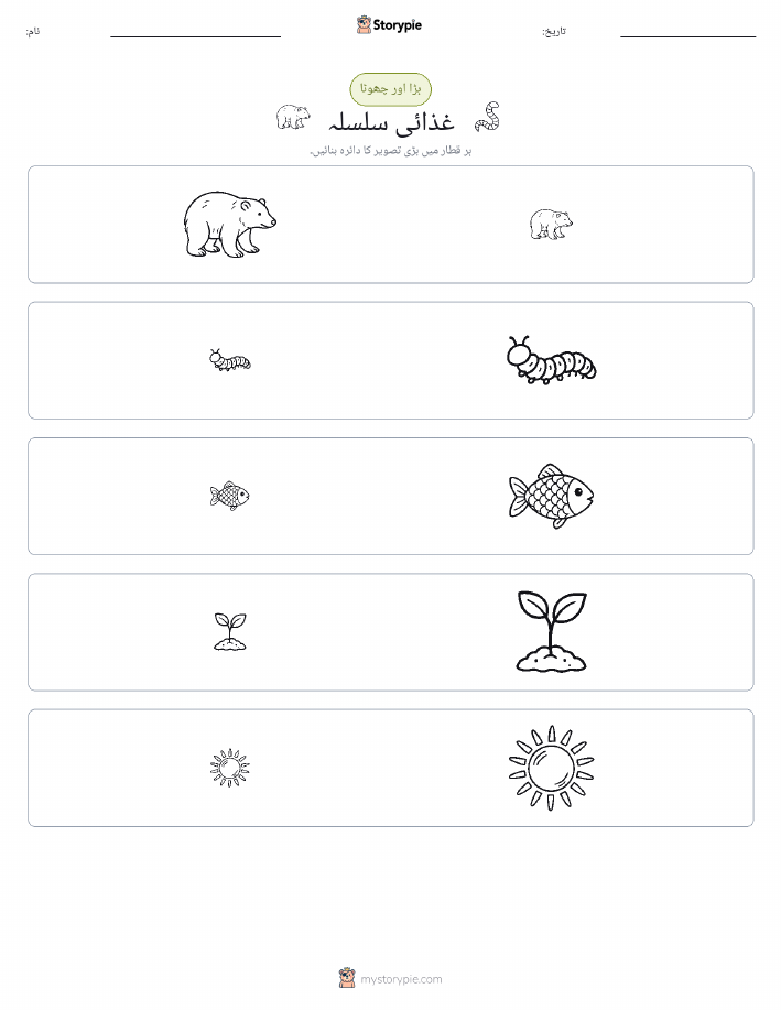 ترتیب دینا