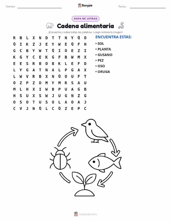 Sopa de Letras