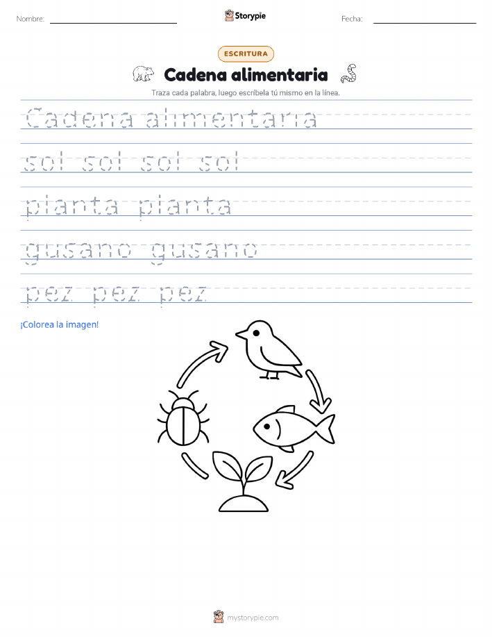 Práctica de Escritura