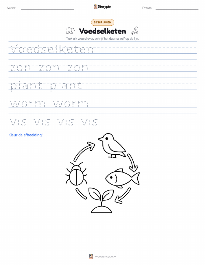 Schrijf Oefening