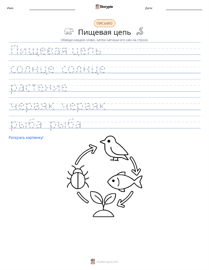 Практика письма