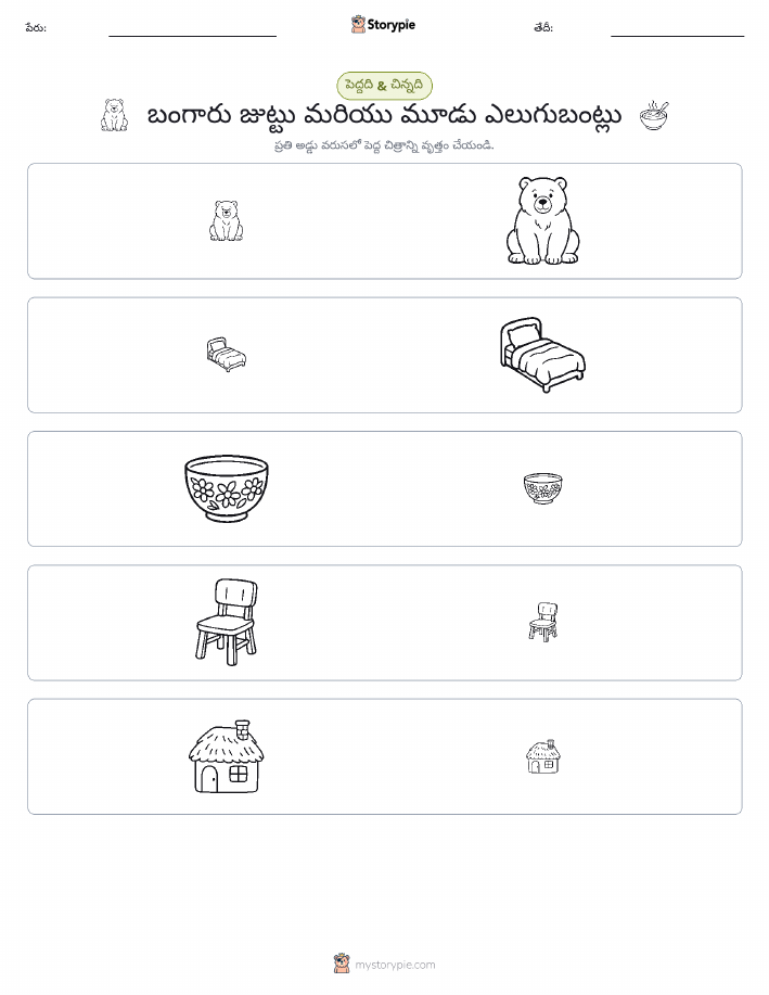 వర్గీకరణ