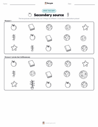 Secondary source printable worksheet preview