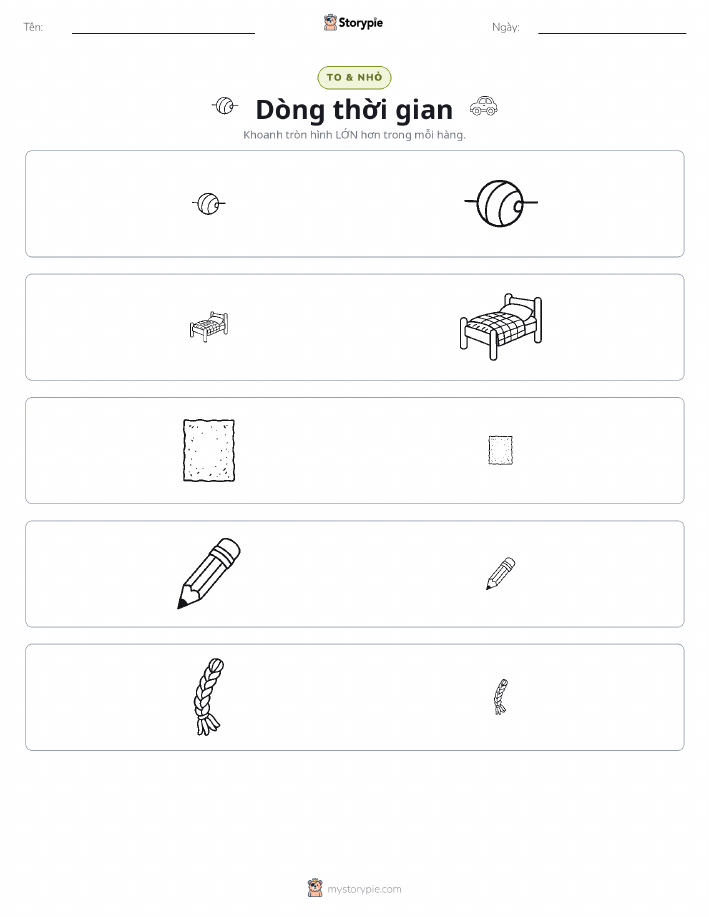 Phân Loại
