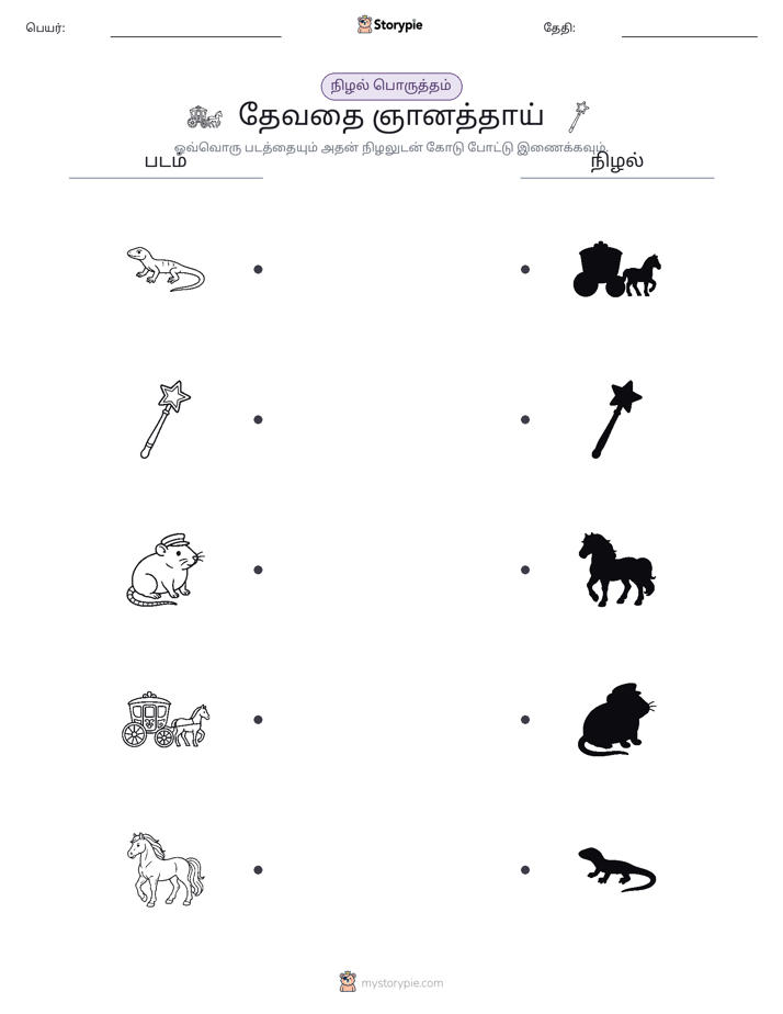 நிழல் பொருத்தம்