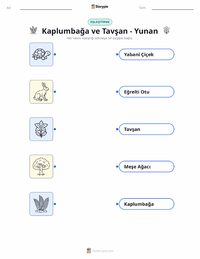 Kaplumbağa ile Tavşan - Yunan çocuklar için yazdırılabilir çalışma sayfası