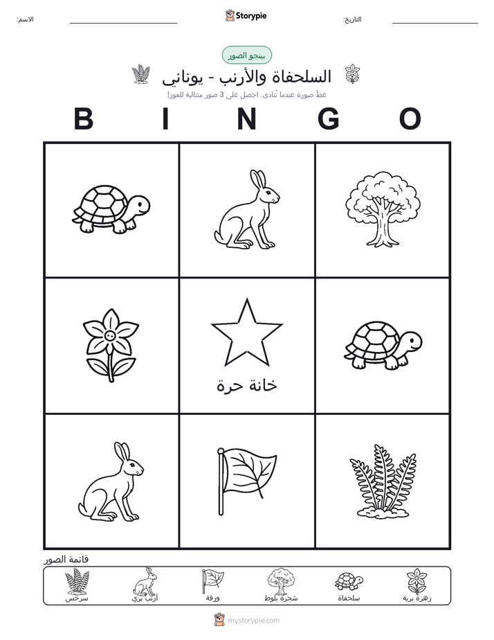 بينغو الصور