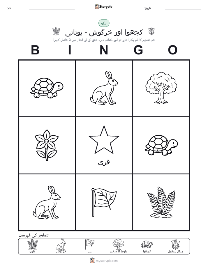 تصویری بنگو