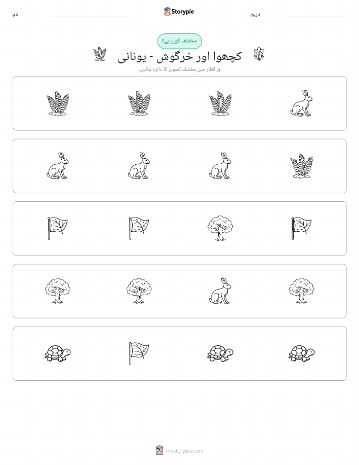 عجیب ایک
