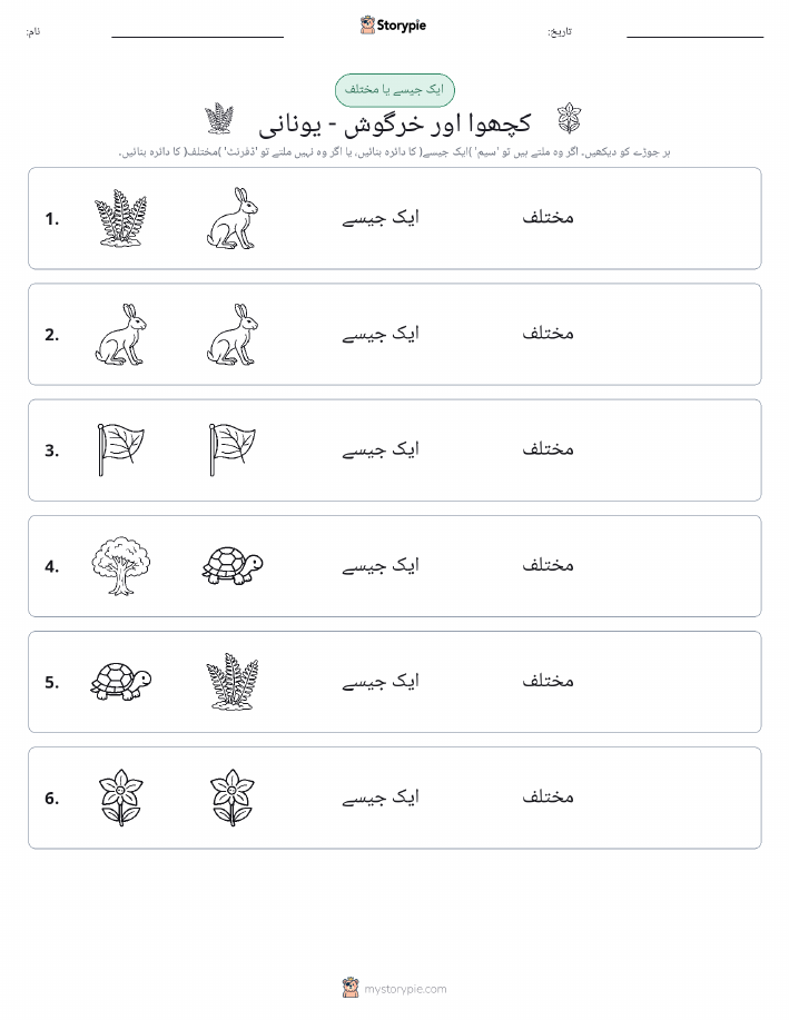 ایک جیسا یا مختلف