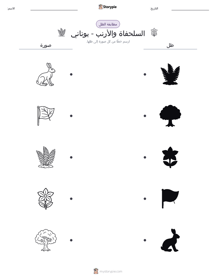 مطابقة الظل