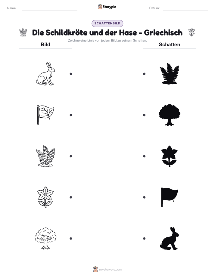 Schattenmatch