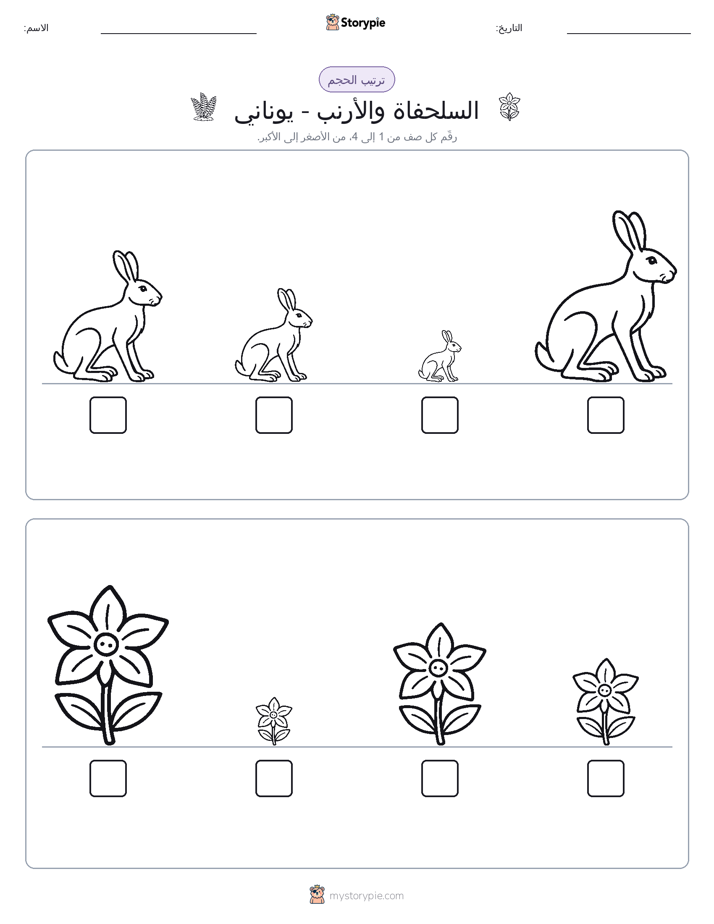 ترتيب الحجم